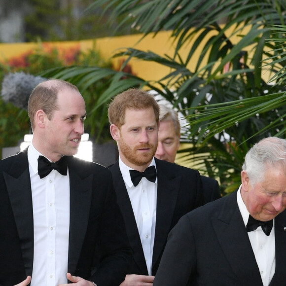 Le prince William, duc de Cambridge, le prince Harry, duc de Sussex, le prince Charles, prince de Galles lors de la première mondiale de la série Netflix "Our Planet" au Musée d'histoire naturelle de Londres le 4 avril 2019.