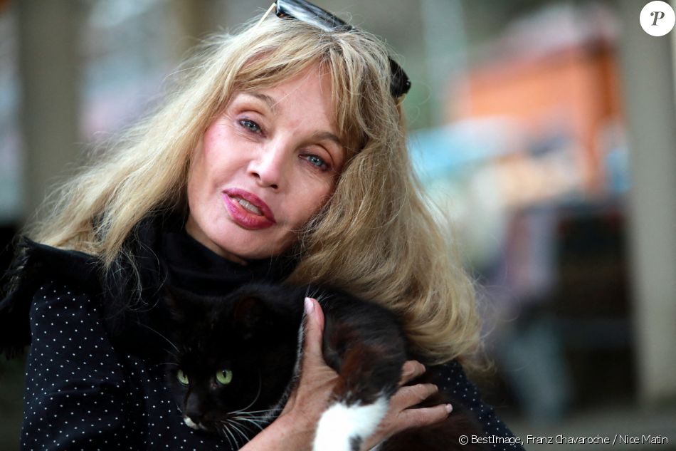 Exclusif - Rencontre avec Arielle Dombasle au refuge pour chats "Les chats de Stella" à Vence. Gagnante de l'émission spéciale "Les reines du shopping", l'artiste a versé son gain de 10 000 euros au refuge "Les chats de Stella", dont elle est la marraine depuis environ 20 ans. Le 5 février 2021 © Franz Chavaroche / Nice Matin / Bestimage