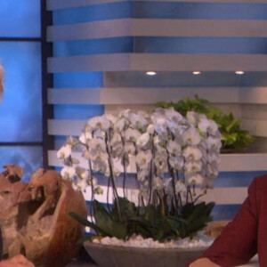 Dans l'émission "The Ellen Show", Harrison Ford révèle que son régime alimentaire est à base de poisson et les légumes. Le 19 février 2020.