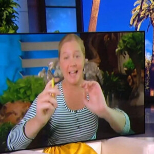 Ellen DeGeneres reçoit Amy Schumer dans son émission The Ellen Show à Los Angeles, le 29 septembre 2020