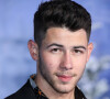 Nick Jonas - People à la première de 'Jumanji: The Next Level' au théâtre Chinese dans le quartier d'Hollywood à Los Angeles.