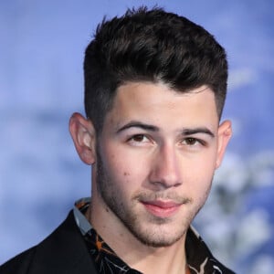 Nick Jonas - People à la première de 'Jumanji: The Next Level' au théâtre Chinese dans le quartier d'Hollywood à Los Angeles.