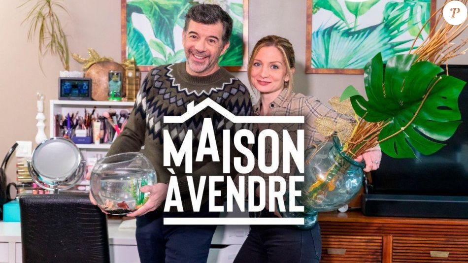 Stéphane Plaza Il embauche la soeur d'une célèbre actrice pour l