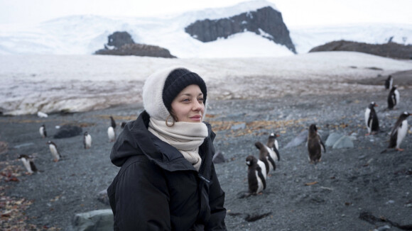 Une photo de Marion Cotillard en Antartique lors d'une voyage organisé par Greenpeace. 2020