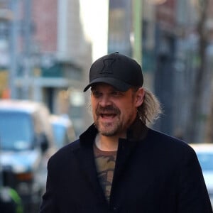 Lily Allen et son compagnon David Harbour se promènent dans les rues de New York le 1er novembre 2019