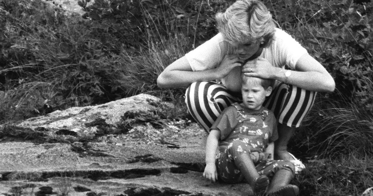 Lady Diana Et Son Fils Le Prince Harry En 1980 Purepeople