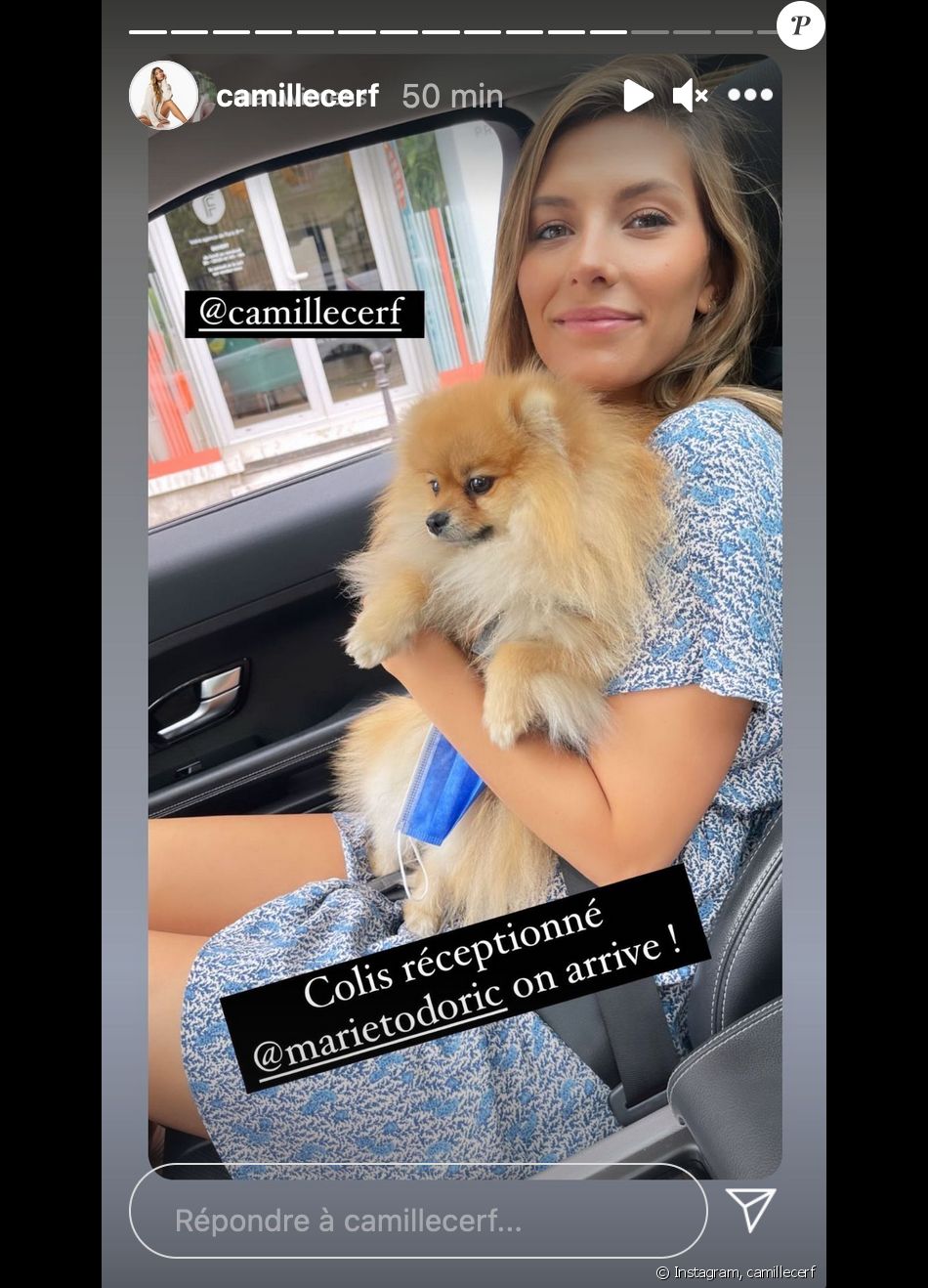 Camille Cerf confie s'être fait recaler par un chauffeur VTC à cause de son chien - Instagram