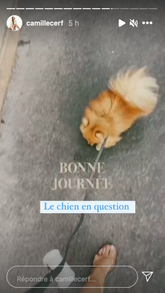 Camille Cerf confie s'être fait recaler par un chauffeur VTC à cause de son chien - Instagram