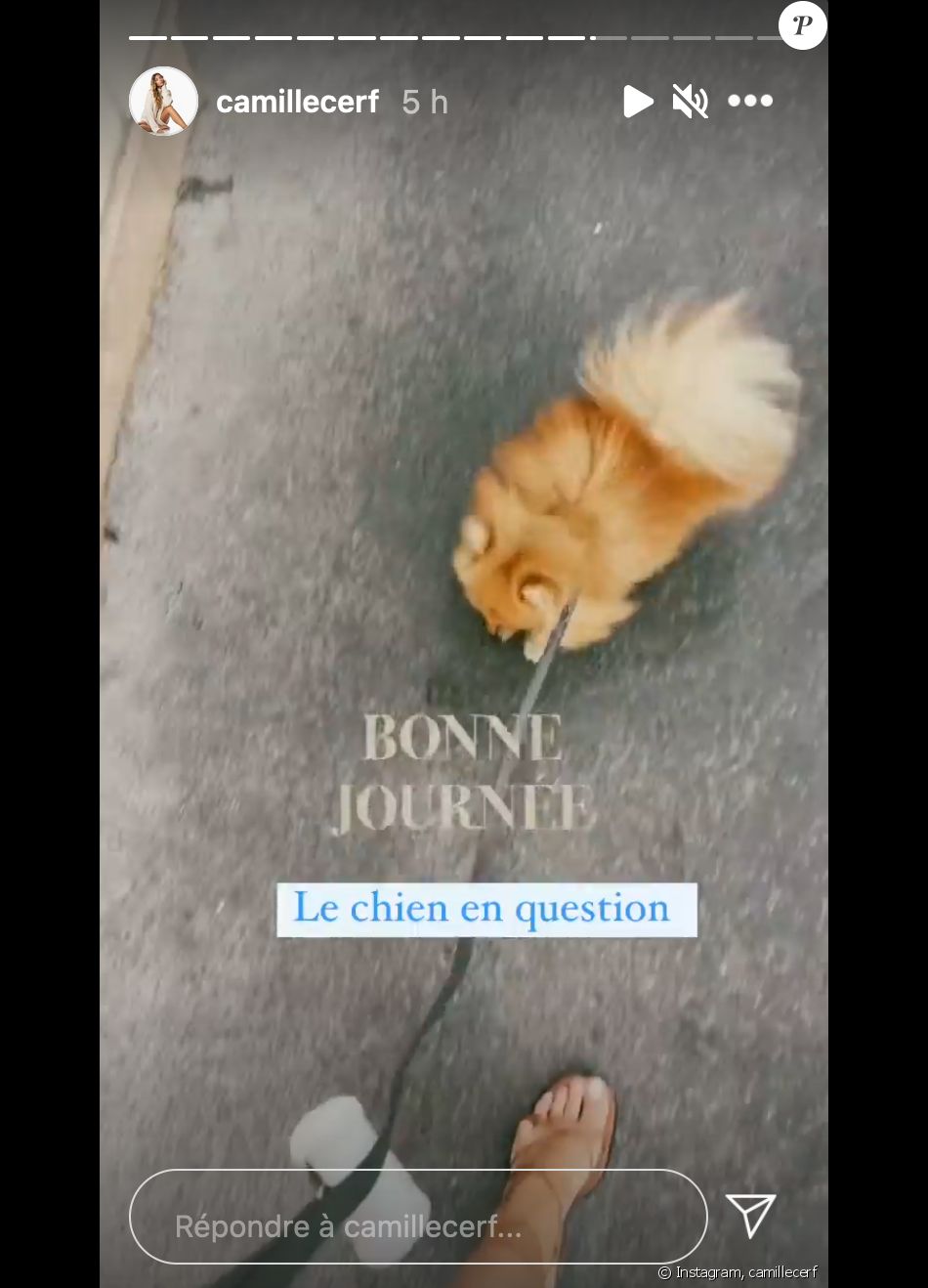 Camille Cerf confie s'être fait recaler par un chauffeur VTC à cause de son chien - Instagram