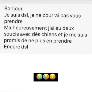 Camille Cerf confie s'être fait recaler par un chauffeur VTC à cause de son chien - Instagram