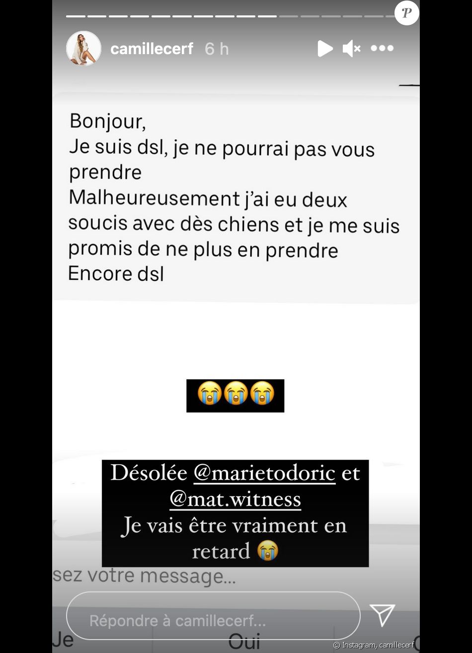 Camille Cerf confie s'être fait recaler par un chauffeur VTC à cause de son chien - Instagram