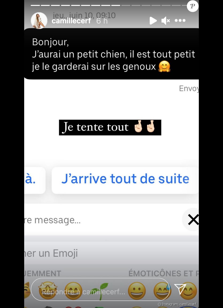 Camille Cerf confie s'être fait recaler par un chauffeur VTC à cause de son chien - Instagram