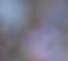 Christian Eriksen - Match de coupe du monde opposant la France au Danemark au stade Loujniki à Moscou, Russie, le 26 juin 2018. © Pierre Perusseau/Bestimage