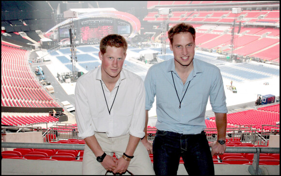 Le prince William et le prince Harry au concert hommage à leur mère Diana au stade Wembley de Londres en 2007.