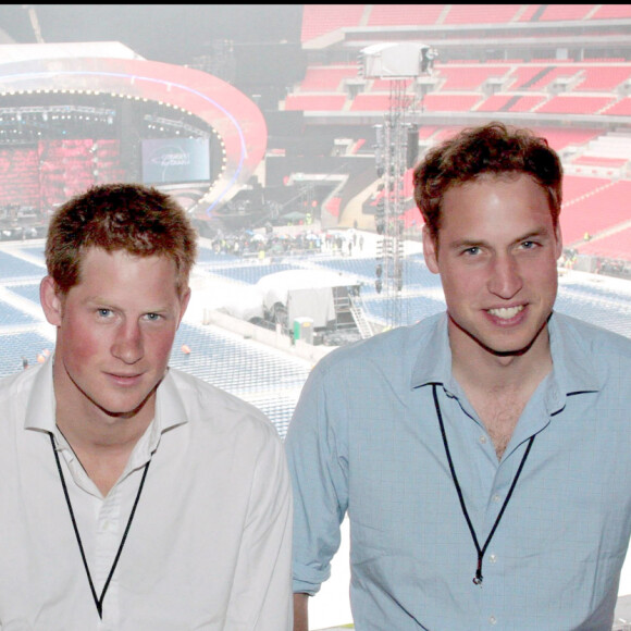 Le prince William et le prince Harry au concert hommage à leur mère Diana au stade Wembley de Londres en 2007.