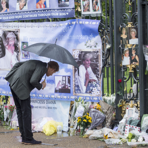 Le prince William et le prince Harry lors de la visite du Sunken Garden dédié à la mémoire de Lady Diana à Londres le 30 août 2017.