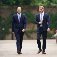 Harry et William : Chaleureuses retrouvailles au nom de Diana, ils dévoilent sa statue à Kensington