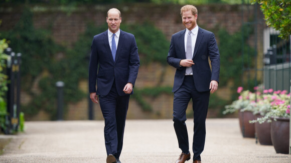 Harry et William : Chaleureuses retrouvailles au nom de Diana, ils dévoilent sa statue à Kensington
