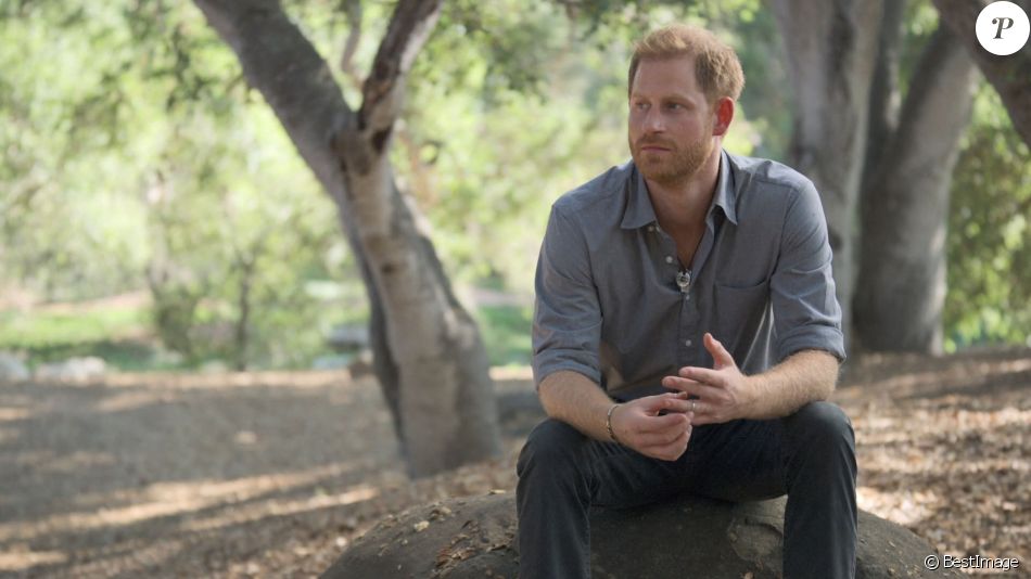 Le prince Harry se confie sur sa santé mentale dans l'émission "The Me You Can't See" produite par Oprah Winfrey et diffusée sur AppleTV+. Mai 2021