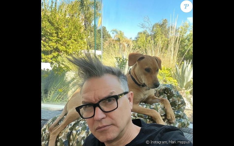 Mark Hoppus sur Instagram. Le 24 février 2021.
