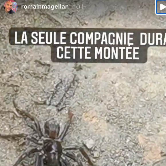 Valérie Trierweiler et Romain Magellan rencontrent une mygale lors d'une randonnée pluvieuse en Martinique.