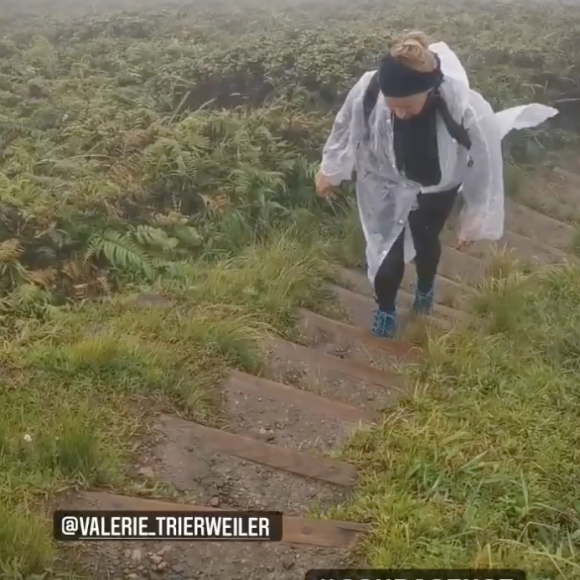 Valérie Trierweiler et Romain Magellan rencontrent une mygale lors d'une randonnée pluvieuse en Martinique.