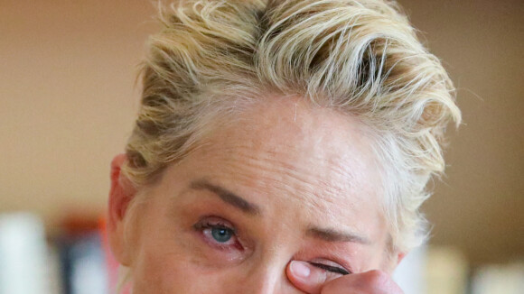 Sharon Stone : Son neveu de 11 mois entre la vie et la mort, elle partage une photo déchirante