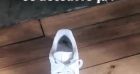 Léa François a fait une horrible découverte dans sa paire de baskets.