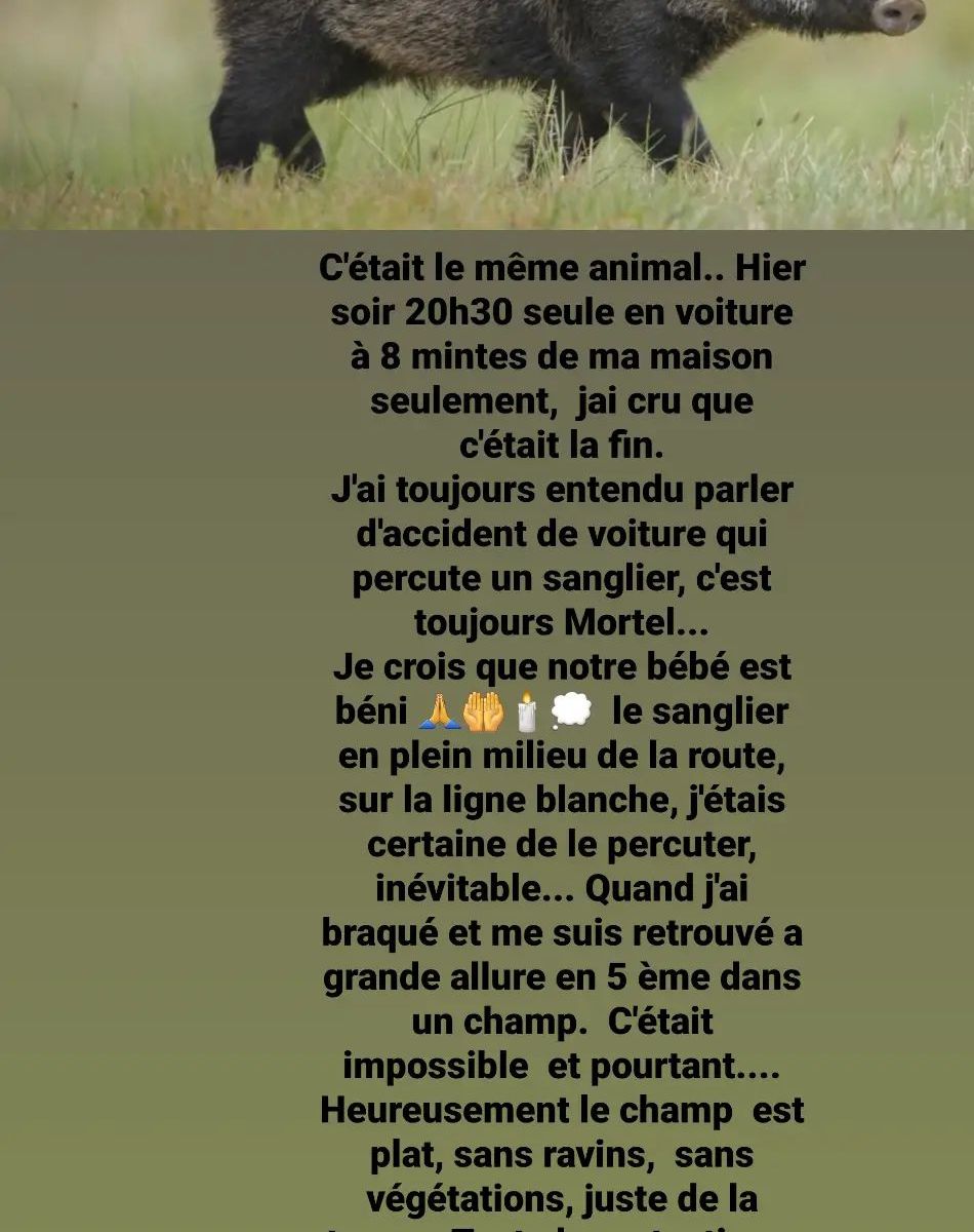 Tatiana-Laurence Delarue sur Instagram.