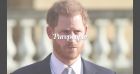 Le prince Harry harcelé par un détective pendant des années : "Je lui ai volé ses années d'adolescence"