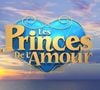 Logo des "Princes de l'amour", émission de W9