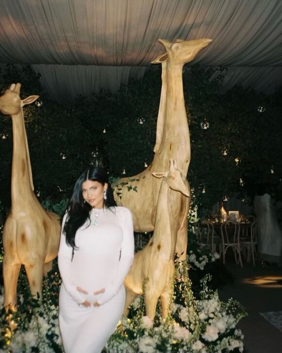 Kylie Jenner dévoile des images de sa baby shower. Le 15 janvier 2022.
