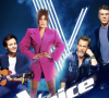 Amel Bent, Vianney, Florent Pagny et Marc Lavoine sont les coachs de la prochaine saison de "The Voice"