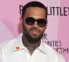 Chris Brown au photocall de la soirée "PrettyLittleThings" à Los Angeles