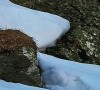 Julien de "L'amour est dans le pré" et son épouse Floriane relèvent un défi complètement dingue au ski avec leurs enfants