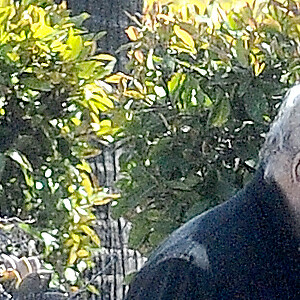 Exclusif - Ray Liotta, 67 ans, et sa fiancée Jacy Nittolo, 46 ans, arrivent dans un hôtel de Beverly Hills à Los Angeles, Californie, Etats-Unis, le 17 mars 2022. 