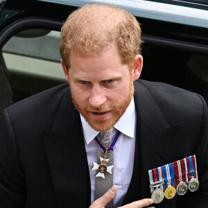 Le prince Harry - Les membres de la famille royale et les invités lors de la messe du jubilé, célébrée à la cathédrale Saint-Paul de Londres le 3 juin 2022. 