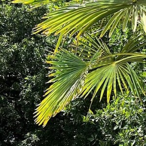 Laure Manaudou a publié une photo de sa fille Manon à la piscine sur Instagram le 11 juin 2022