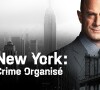 Logo de la série policière "New York : Crime organisé", diffusée sur 13ème rue en France