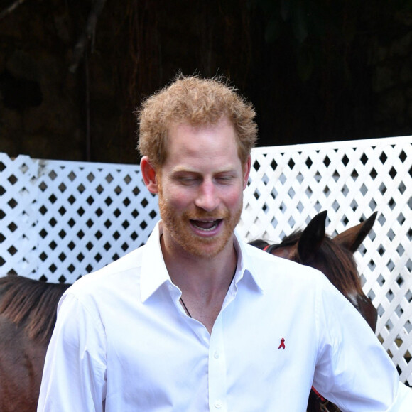 Le prince Harry rencontre des jeunes gens lors de sa visite au ranch ''Nature Fun Ranch'' à St Andrew à La Barbade, le 1er décembre 2016 avec qui il a parlé entre autre du Sida. 