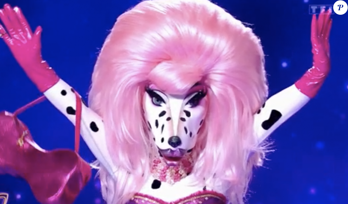 7210187 le dalmatien drag queen dans mask singe sitemap 3