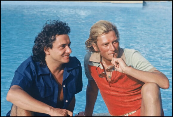 Johnny Hallyday et Michel Sardou.