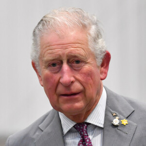 Le prince Charles en visite à l'usine "CAF train factory" à Newport. 