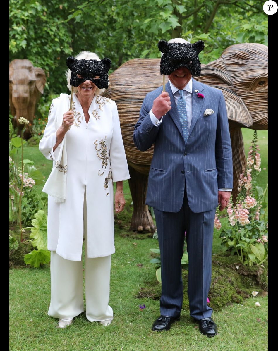 Info - Le prince Charles devient Charles III, roi du Royaume-Uni - Le prince Charles, prince de Galles, et Camilla Parker Bowles, duchesse de Cornouailles lors de la réception de l'Animal Ball organisée par l'ONG "Elephant Family" à la Clarence House.