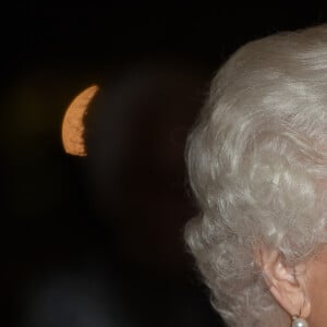 La reine Elisabeth II d'Angleterre lors de la remise de prix Chatham House Prize 2019 à Londres le 20 novembre 2019. 