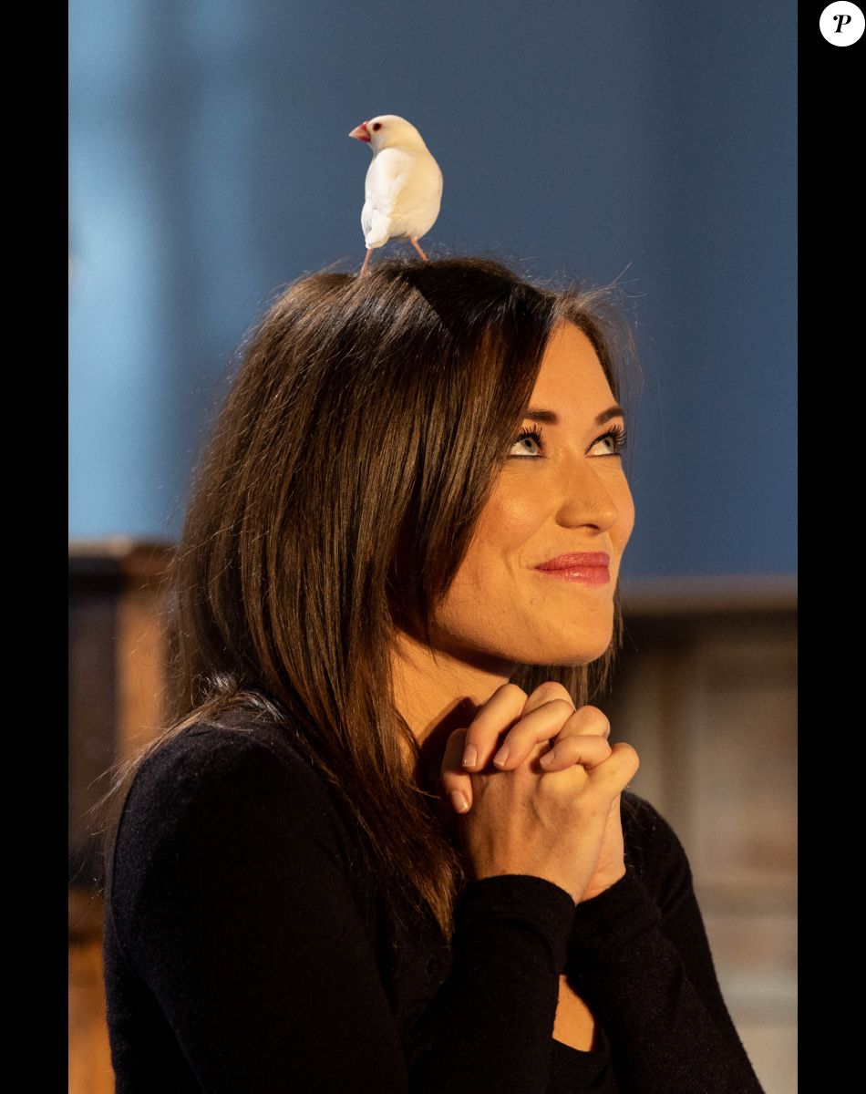Exclusif - Elsa Esnoult - Enregistrement de l'émission "Animaux Stars", présentée par B.Montiel et diffusée le 8 octobre à 17h30 sur Animaux TV © Jérémy Melloul / Bestimage