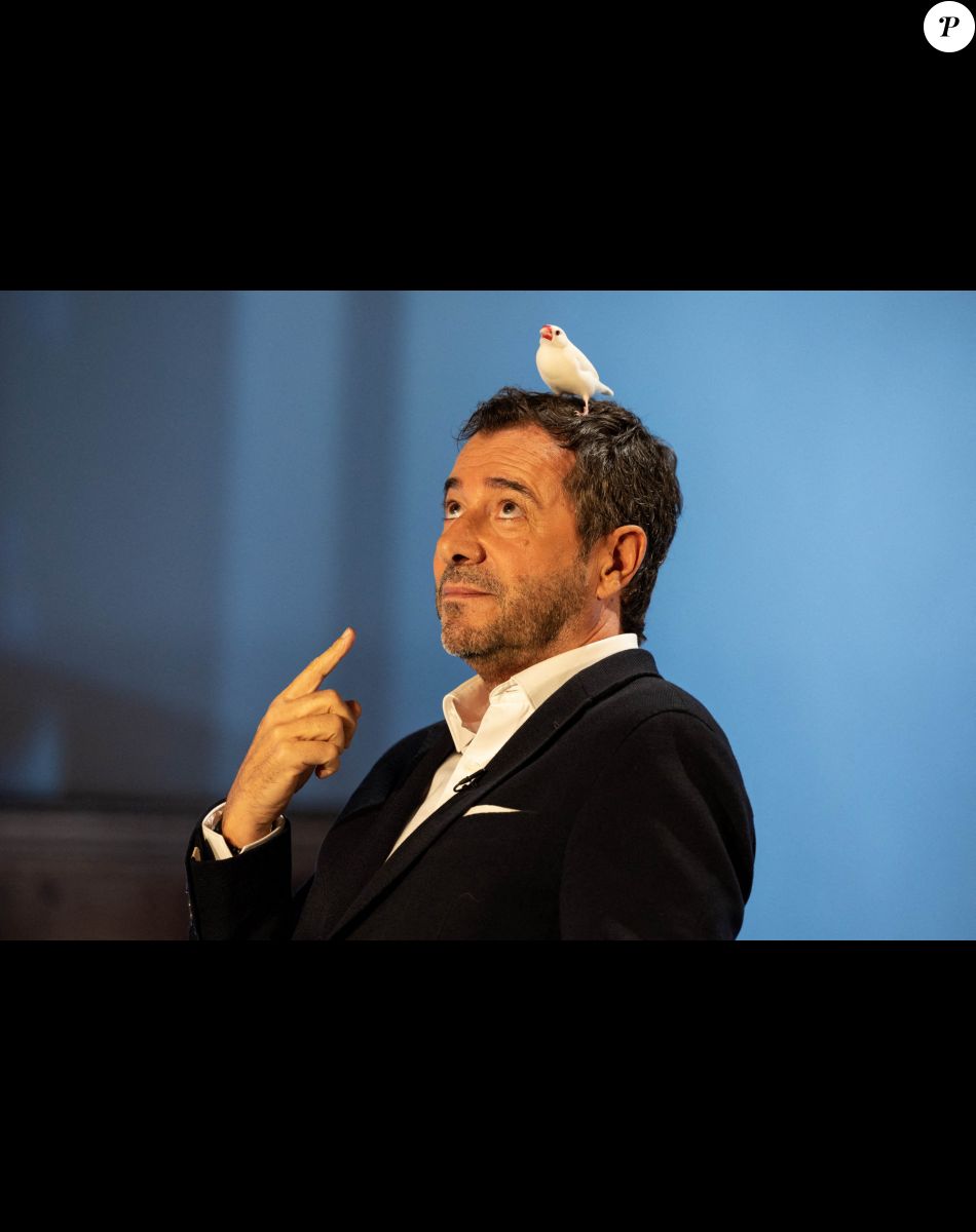 Exclusif - Bernard Montiel - Enregistrement de l'émission "Animaux Stars", présentée par B.Montiel et diffusée le 8 octobre à 17h30 sur Animaux TV © Jérémy Melloul / Bestimage