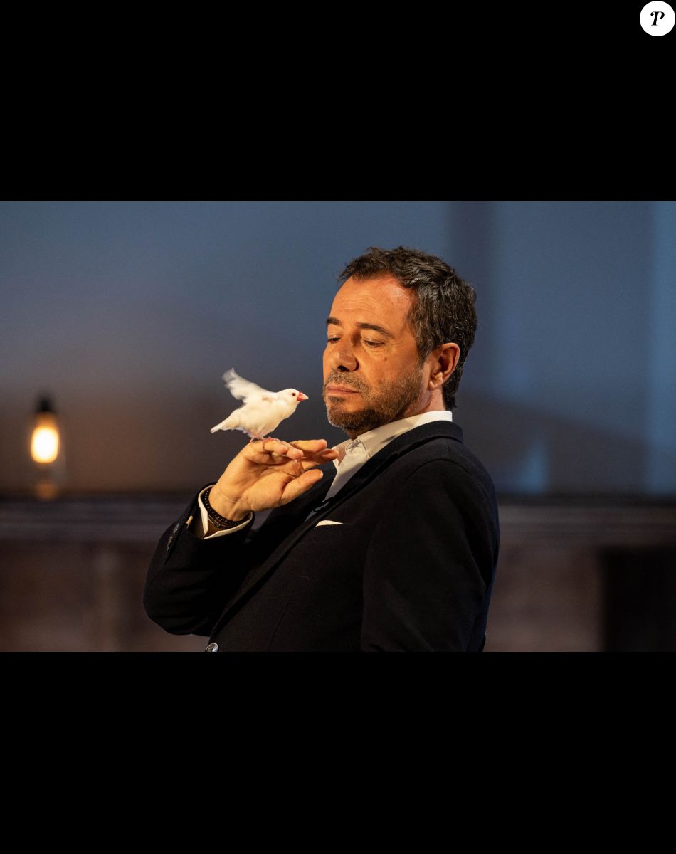 Exclusif - Bernard Montiel - Enregistrement de l'émission "Animaux Stars", présentée par B.Montiel et diffusée le 8 octobre à 17h30 sur Animaux TV © Jérémy Melloul / Bestimage