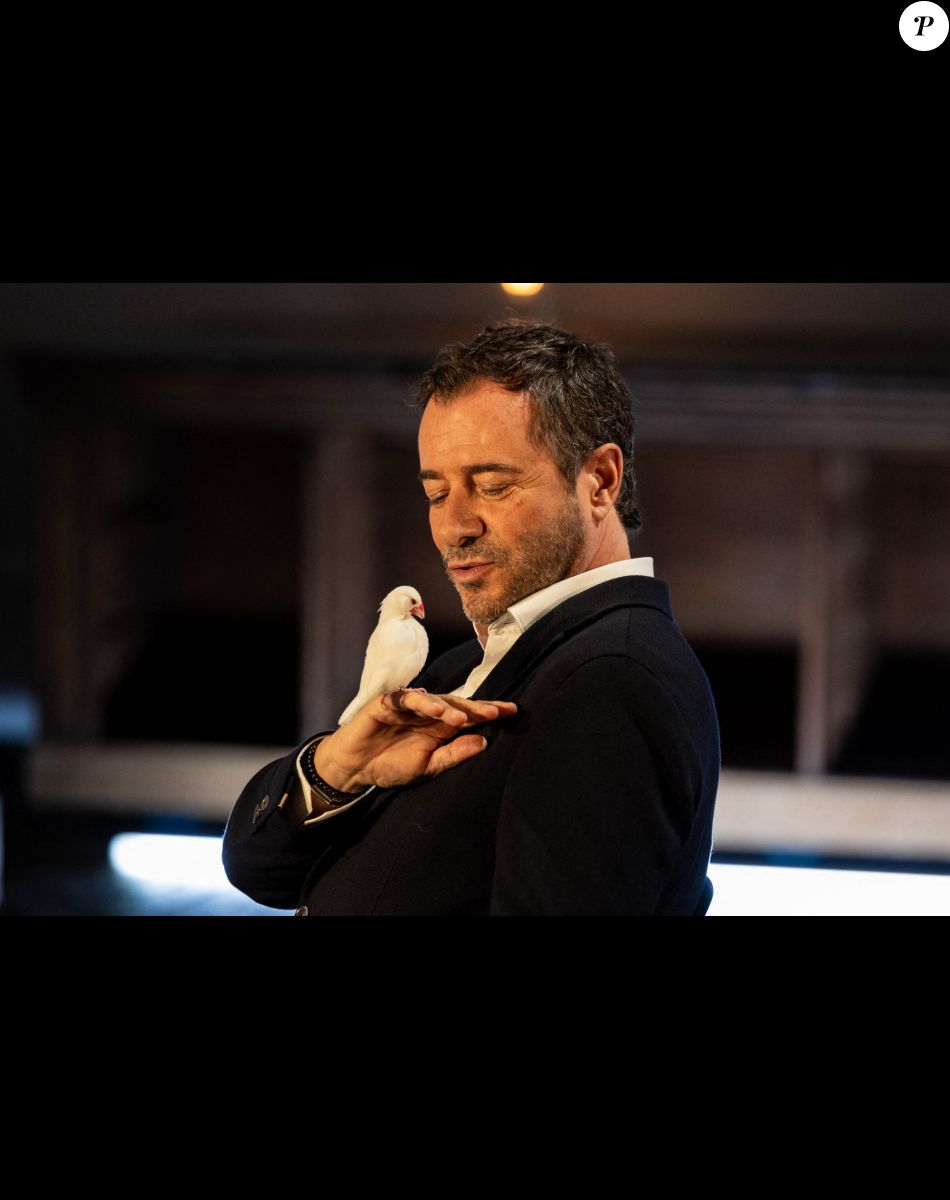 Exclusif - Bernard Montiel - Enregistrement de l'émission "Animaux Stars", présentée par B.Montiel et diffusée le 8 octobre à 17h30 sur Animaux TV © Jérémy Melloul / Bestimage