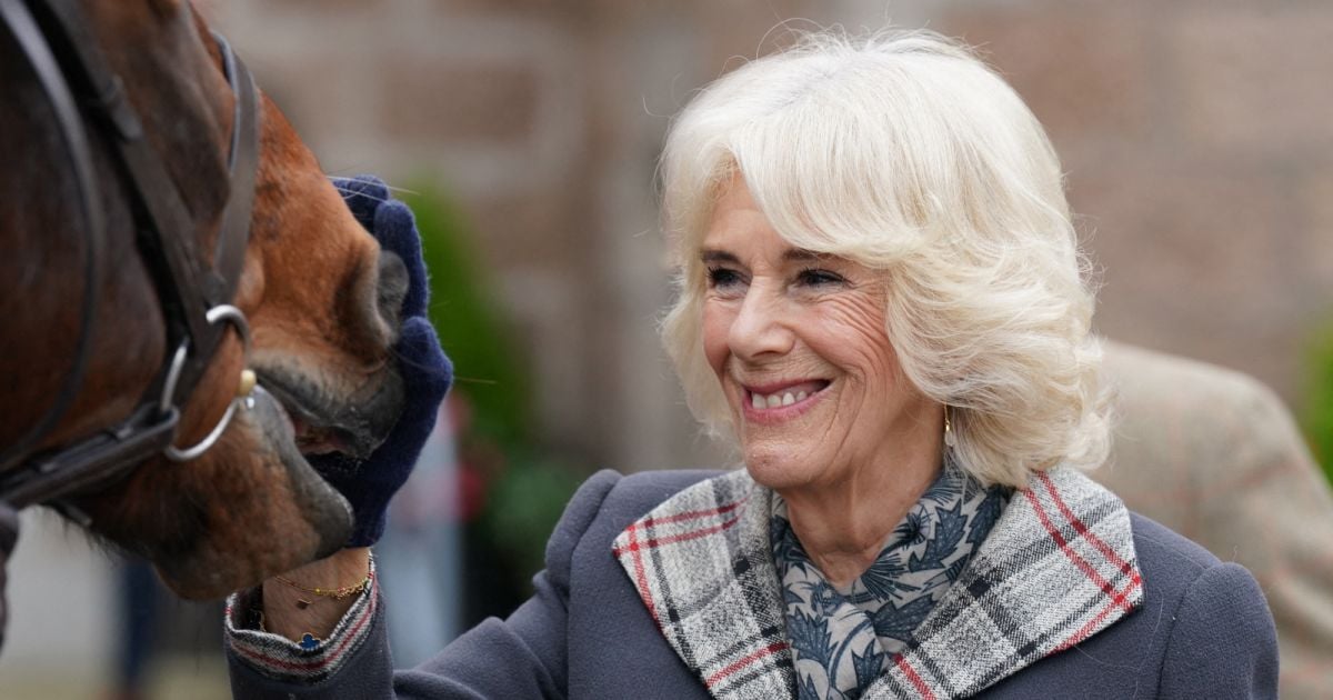 Taken à La Recherche De Sophie Parker Camilla Parker Bowles, reine consort d'Angleterre, assiste à une